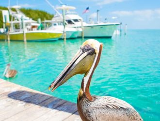 3 Day Yacht Charter Florida