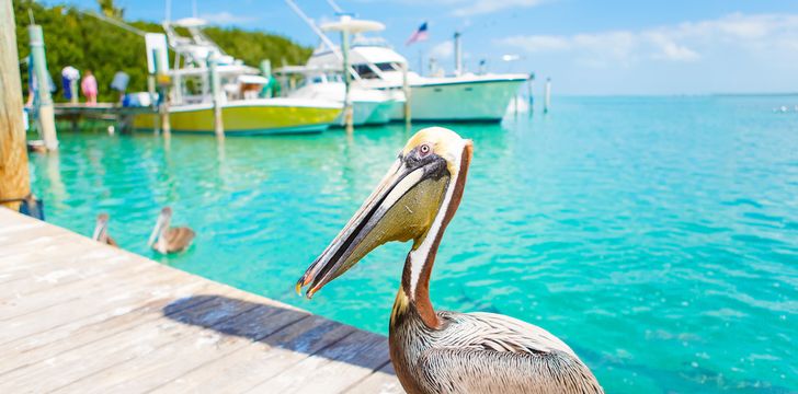 3 Day Yacht Charter Florida